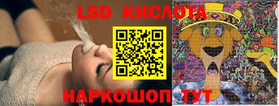 спайс Гай