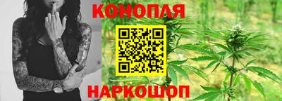 кокс Гатчина